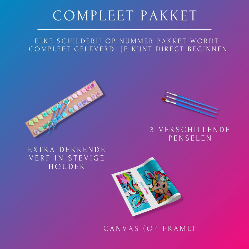 Dikke dames in Amsterdam | Schilderen op nummer | Vrolijk Schilderij | Schilderen op nummer | Diamond painting | Dot painting